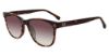 Picture of Gap Sunglasses SGP002