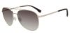 Picture of Gap Sunglasses SGP005
