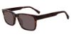 Picture of Gap Sunglasses SGP012