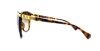 Picture of D&G Sunglasses DD8096