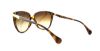 Picture of D&G Sunglasses DD8096
