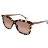 Picture of Chloe Sunglasses CH0079S
