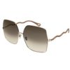 Picture of Chloe Sunglasses CH0054S