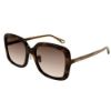 Picture of Chloe Sunglasses CH0073SK