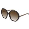 Picture of Chloe Sunglasses CH0008S
