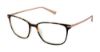 Picture of Ted Baker Eyeglasses B748