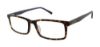 Picture of Ted Baker Eyeglasses B893