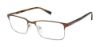 Picture of Ted Baker Eyeglasses TM502