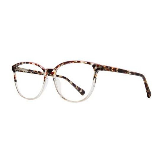 Picture of Stylewise Eyeglasses SW458