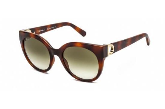 Picture of Salvatore Ferragamo Sunglasses SF1031S