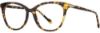 Picture of Scott Harris Eyeglasses SH-X 021