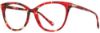 Picture of Scott Harris Eyeglasses SH-X 021