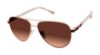 Picture of Buffalo David Bitton Sunglasses BWS006