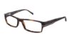 Picture of Ted Baker Eyeglasses B834