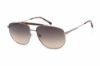 Picture of Lacoste Sunglasses L246S