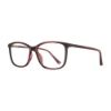Picture of Georgetown Eyeglasses GTN809