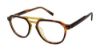 Picture of Ted Baker Eyeglasses TM012