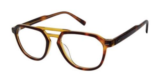 Picture of Ted Baker Eyeglasses TM012