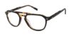 Picture of Ted Baker Eyeglasses TM012