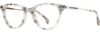 Picture of State Optical Eyeglasses Yale
