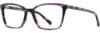 Picture of Scott Harris Eyeglasses SH-844