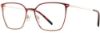 Picture of Adin Thomas Eyeglasses AT-570