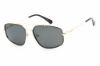 Picture of Polaroid Core Sunglasses PLD 2112/S