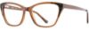 Picture of Cinzia Eyeglasses CIN-5149
