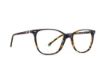 Picture of Rip Curl Eyeglasses RC 2075