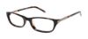 Picture of Ted Baker Eyeglasses B706