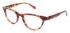 Picture of Ted Baker Eyeglasses B713