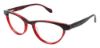 Picture of Ted Baker Eyeglasses B713