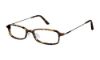 Picture of Ted Baker Eyeglasses B852