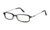 Picture of Ted Baker Eyeglasses B852