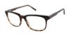Picture of Ted Baker Eyeglasses B892