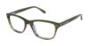 Picture of Ted Baker Eyeglasses B947