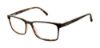 Picture of Ted Baker Eyeglasses TB804