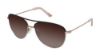 Picture of L.A.M.B. Sunglasses LA509