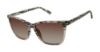 Picture of L.A.M.B. Sunglasses LA568