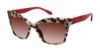 Picture of Lulu Guinness Sunglasses L161