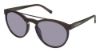 Picture of Brendel Sunglasses 906100