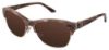 Picture of Brendel Sunglasses 916015