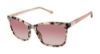 Picture of Buffalo David Bitton Sunglasses BWS002