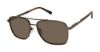 Picture of Ted Baker Sunglasses TBM077