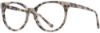 Picture of Cinzia Eyeglasses CIN-5152