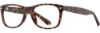 Picture of Elements Eyeglasses EL-442