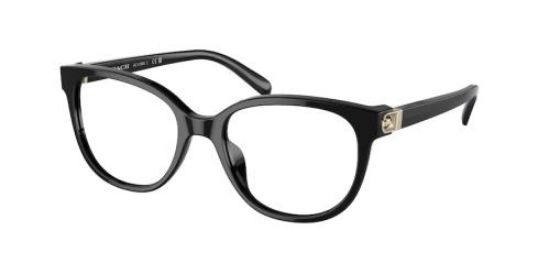Picture of Coach Eyeglasses HC6194U