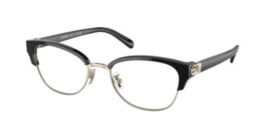 Picture of Coach Eyeglasses HC6195