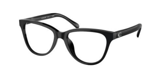 Picture of Coach Eyeglasses HC6202F