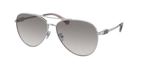 Picture of Coach Sunglasses HC7140
